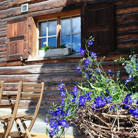 Hof Surri Leilighet Schiers Eksteriør bilde